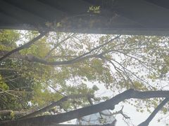 -久宴·天目湖大鱼头(恐龙园店)