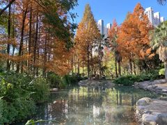 -苏州河梦清园环保主题公园