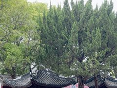 -秋霞圃