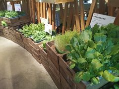 -番食园鲜食火锅(高新店)