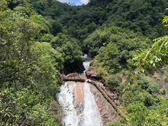 -广州白江湖森林公园