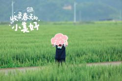 -童真童趣儿童摄影(乐清店)