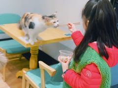 -猫色咖啡·猫咖