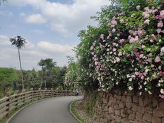 -白鹭湾湿地公园