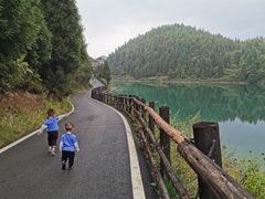 -武陵山森林公园