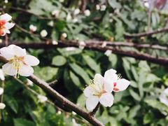 -上海滴水湖皇冠假日酒店