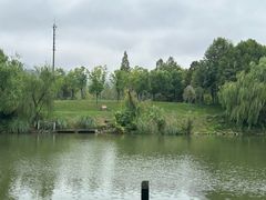 -中国湿地博物馆