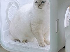 -1013 PET SHOP 宠物商店(近铁城市广场店)