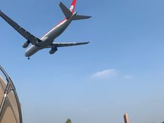 -空港花田景区