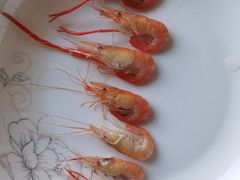 -科巷菜场