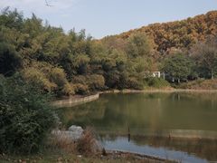 -河南省黄河迎宾馆