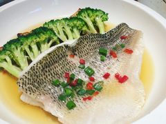 非一般鲈鱼-大树餐厅(红旗街万达店)