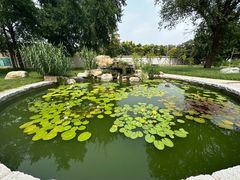 -国家植物园南园