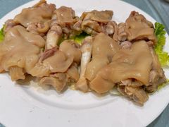 -丁老爷子苏香圆