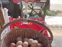 -马陆小张葡萄园农家乐