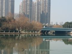 -天鹅湖体育公园