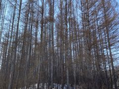 -长春净月潭风景名胜区