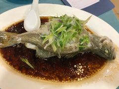 蒸鲈鱼-粤·向群饭店(泮塘路店)