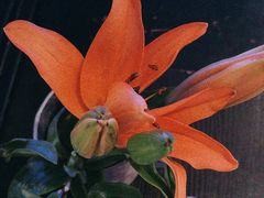 -大董(阜成路店)