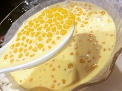 糖朝-糖朝(尖沙咀店)