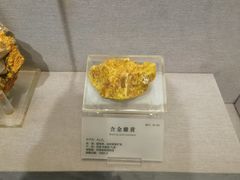 -湖南省地质博物馆