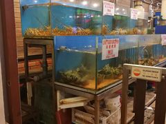 -真浪花园海鲜餐馆