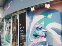 -飞行喵MR PILOT|猫舍·猫咖(静安大融城店)