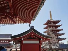 -浅草寺