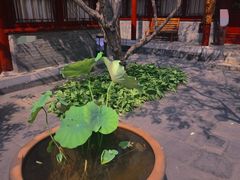 -李叔同故居纪念馆