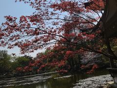 -杭州植物园