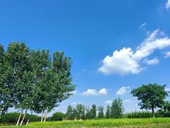 -汉长安城未央宫国家考古遗址公园