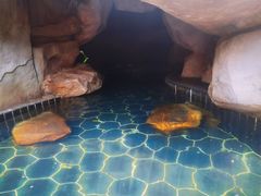 -盘锦红海温泉乐园