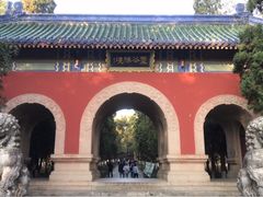 -灵谷景区