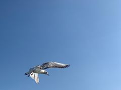 -海埂大坝