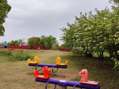 -杭州湾海上花田景区