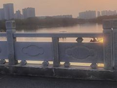 -洋湖国家湿地公园