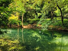 -阿哈湖国家湿地公园