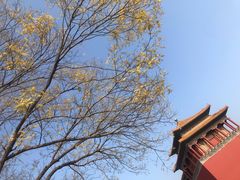 -北门涮肉·炭火铜锅涮肉(什刹海店)