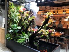 -森味薪火烧•烧鸟居酒屋•日本料理(望京店)