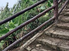 -海南铜鼓岭景区