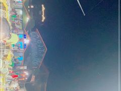 -胖大嫂渔家排档·全海景餐厅(渔村店)