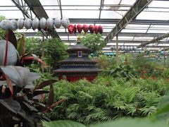 -南宫五洲植物乐园