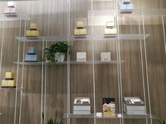 -奈雪的茶(市百一店)