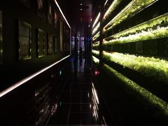 大堂-L'ATELIER de Joel Robuchon(外滩18号店)