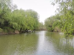 -长兴太湖图影湿地文化园