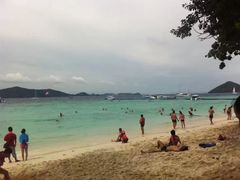 -珊瑚岛
