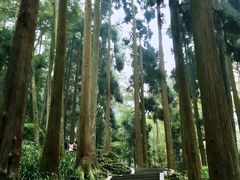 -青城山