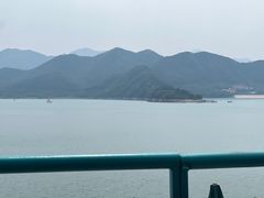 -望湖烤鱼