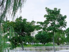 -苏州太湖国家湿地公园