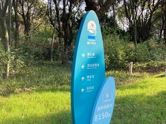 -贡湖湾湿地公园
